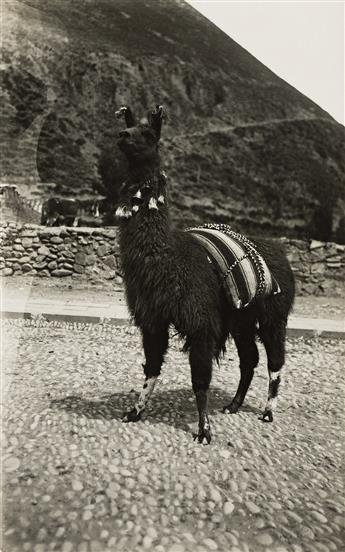 MARTÍN CHAMBI (1891-1973) A selection of 16 photographs, including indigenous figures, alpaca, and architectural studies.